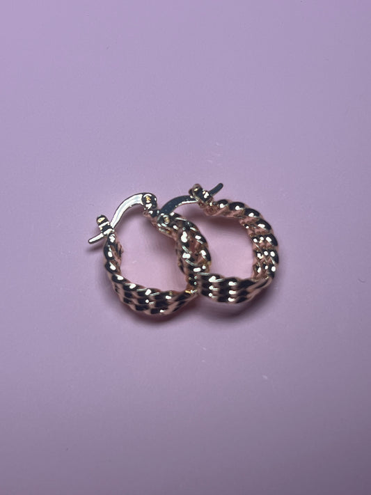 Small hoop earrings